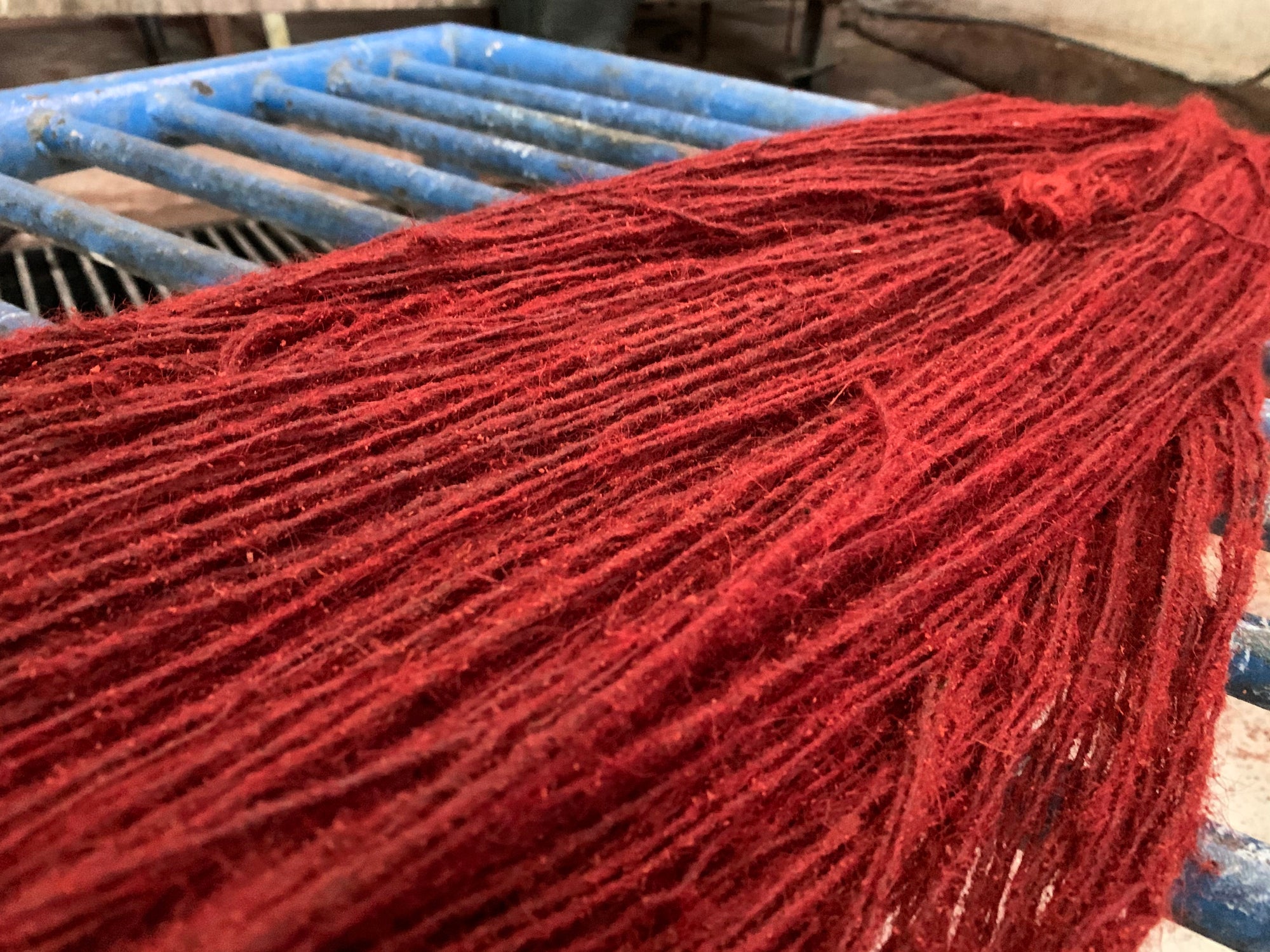 Natural dye plants and madder