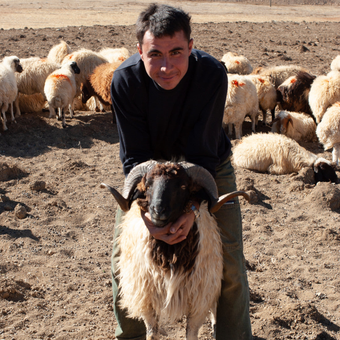 A shepherd who loves his sheep, Anatolia