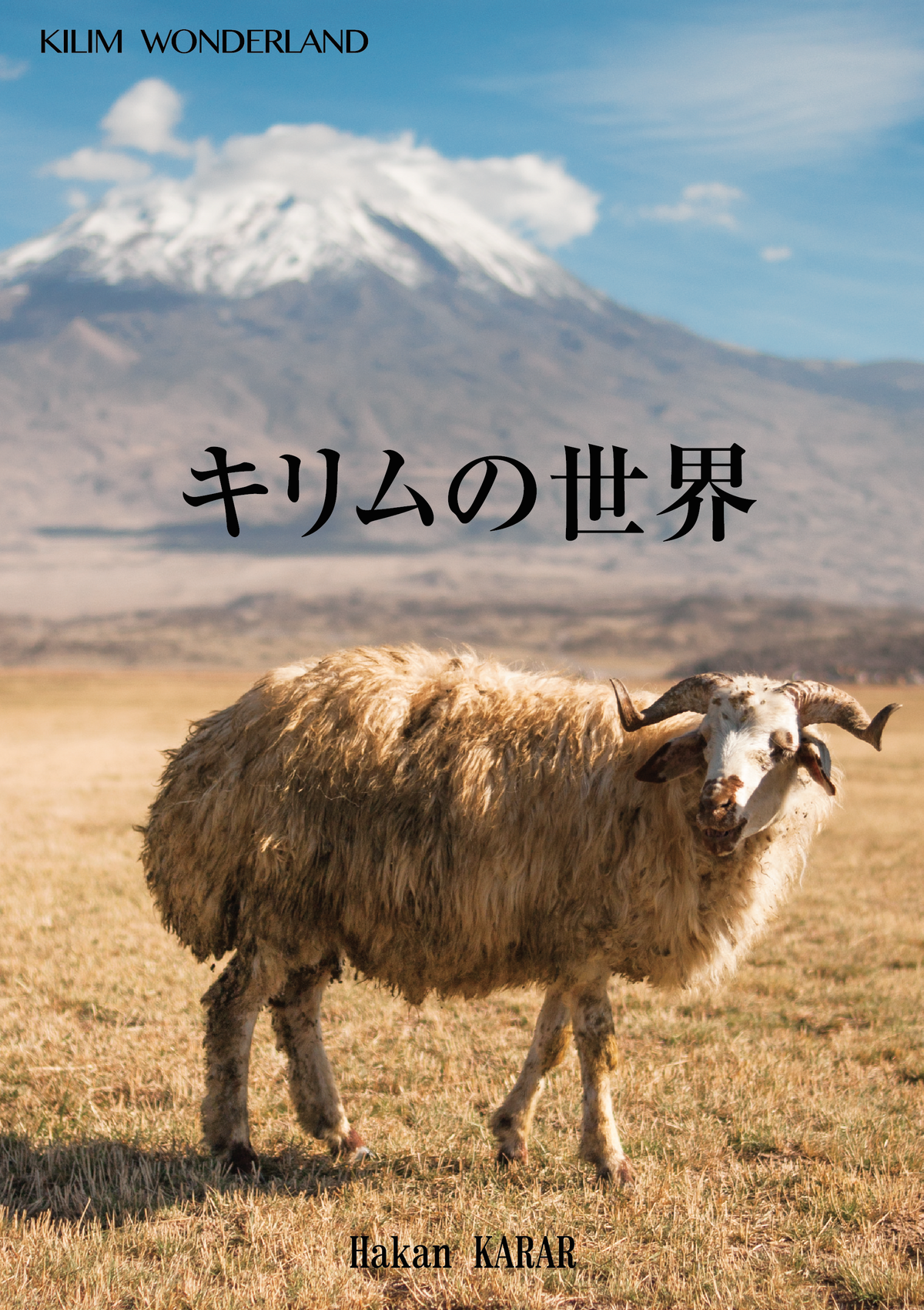 Magazine cover