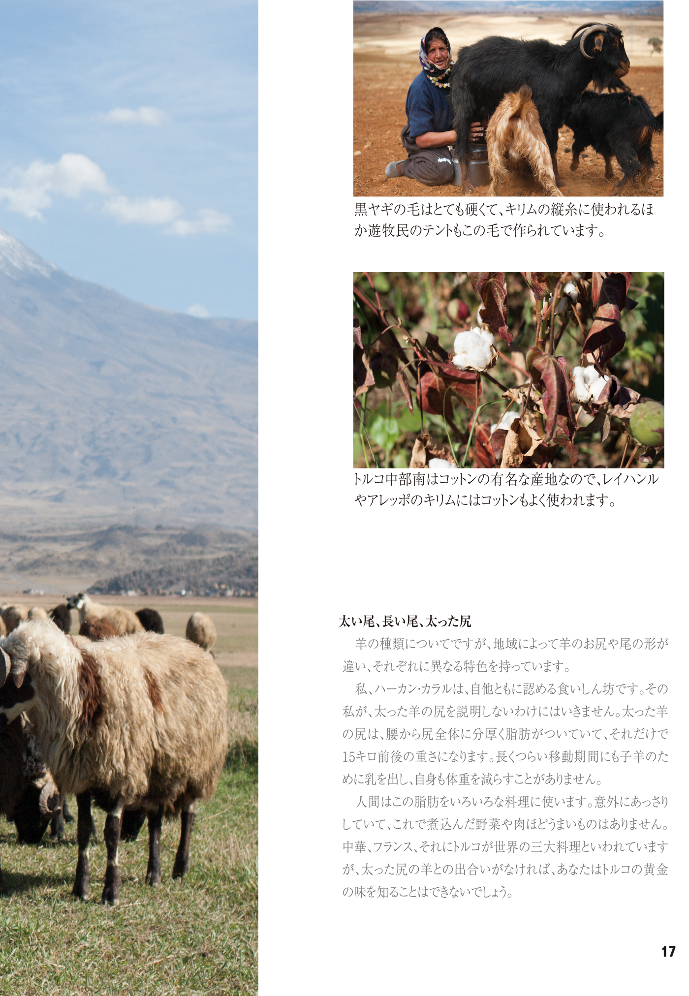 Magazine page