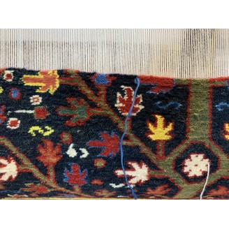 Bid Majnum on Blue Field Rug