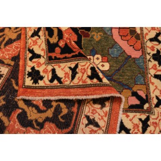 Mina Khani Rug with Bidjar Border