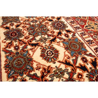 Ordutch-Konagkend Kuba Rug