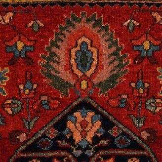 Gerous Bidjar Wagireh Medallion Rug