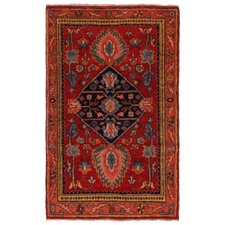 Gerous Bidjar Wagireh Medallion Rug