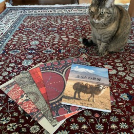 82566158_677090369763993_1320014383789531397_n