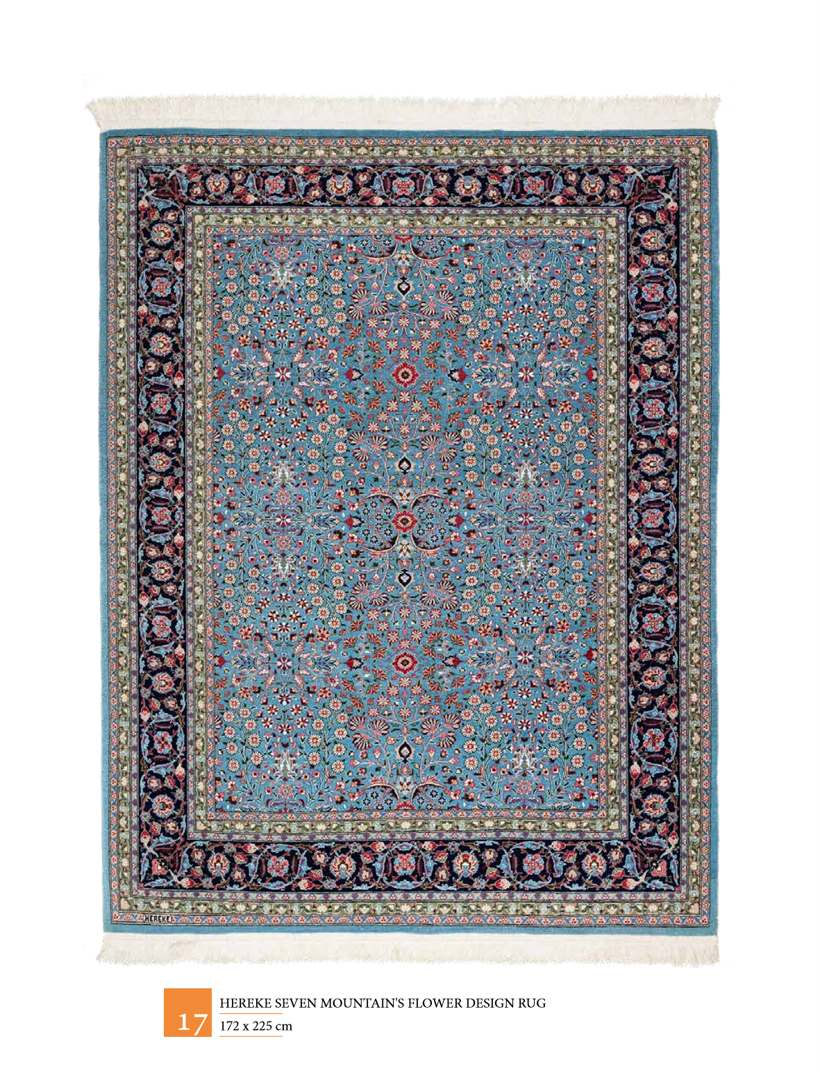 24-1181x1559.jpg